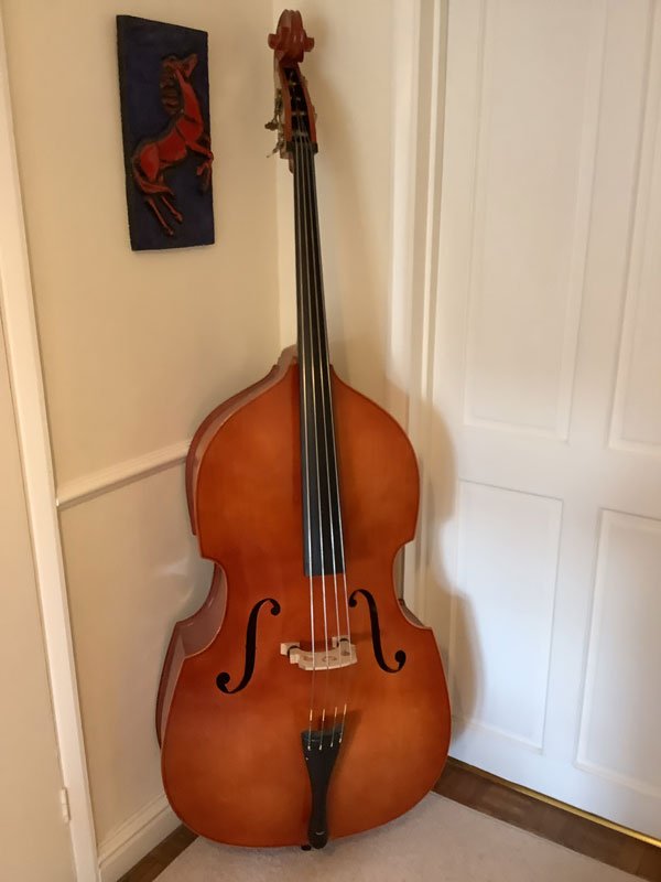 Vintage European 3/4 double basses - Image 4