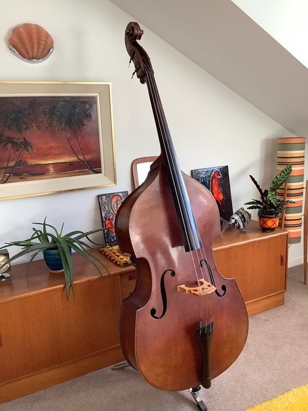 1950s German Swellback 3/4 size Bass (imported for Selmer London) - Image 7