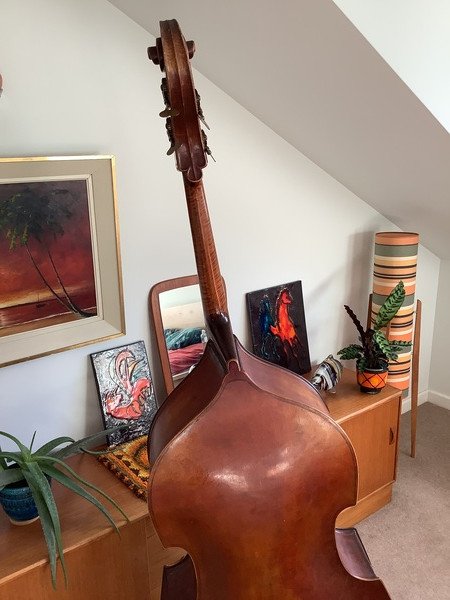 1950s German Swellback 3/4 size Bass (imported for Selmer London) - Image 8